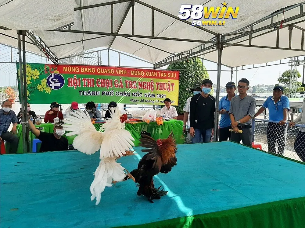 Giá trị kinh tế và văn hóa của Đá Gà Tre 58win