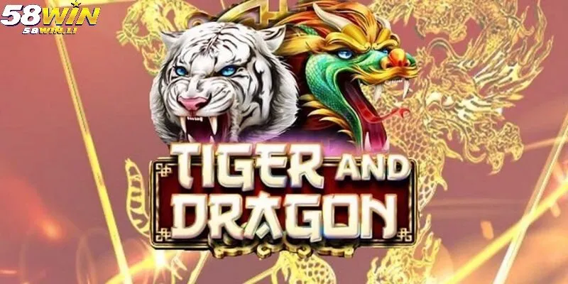 Những Chi Tiết Quan Trọng Khi Chơi Rồng Hổ